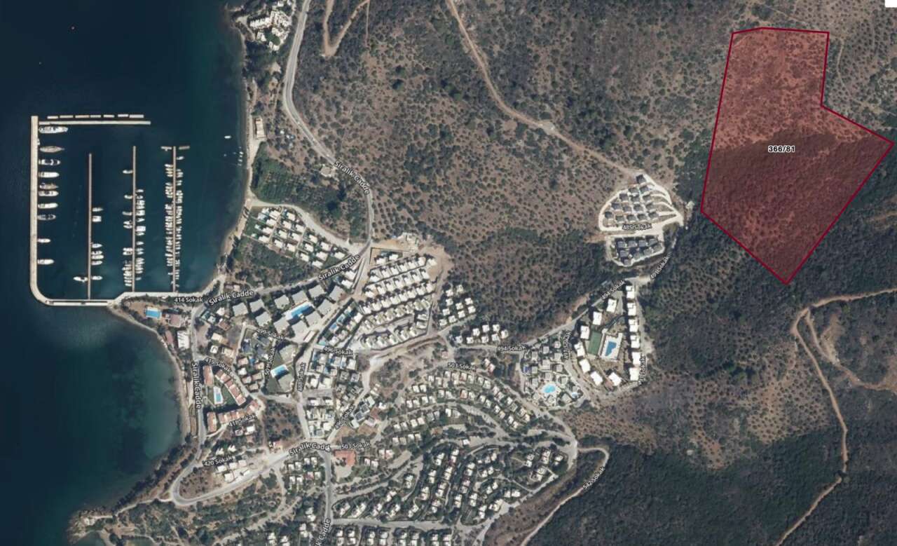 Denize Sıfır Zeytinlikler Kiraya Veriliyor: Aydın Vakıflar 86 Taşınmaz İçin İhaleye Çıkıyor 3